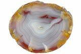 Colorful, Polished Patagonia Agate - Argentina #214916-1